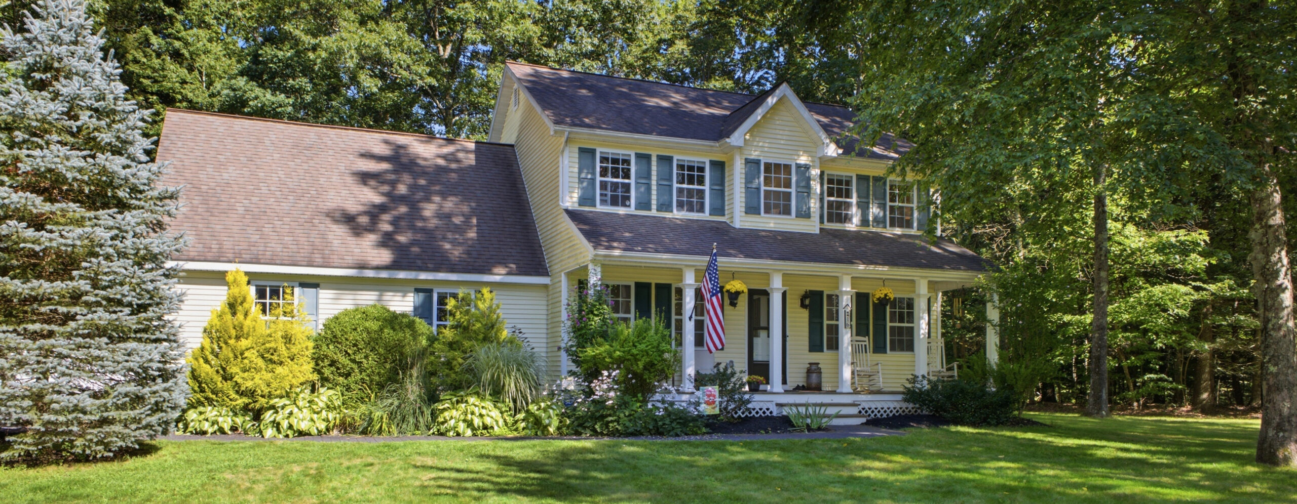 16 WhiteBirch
