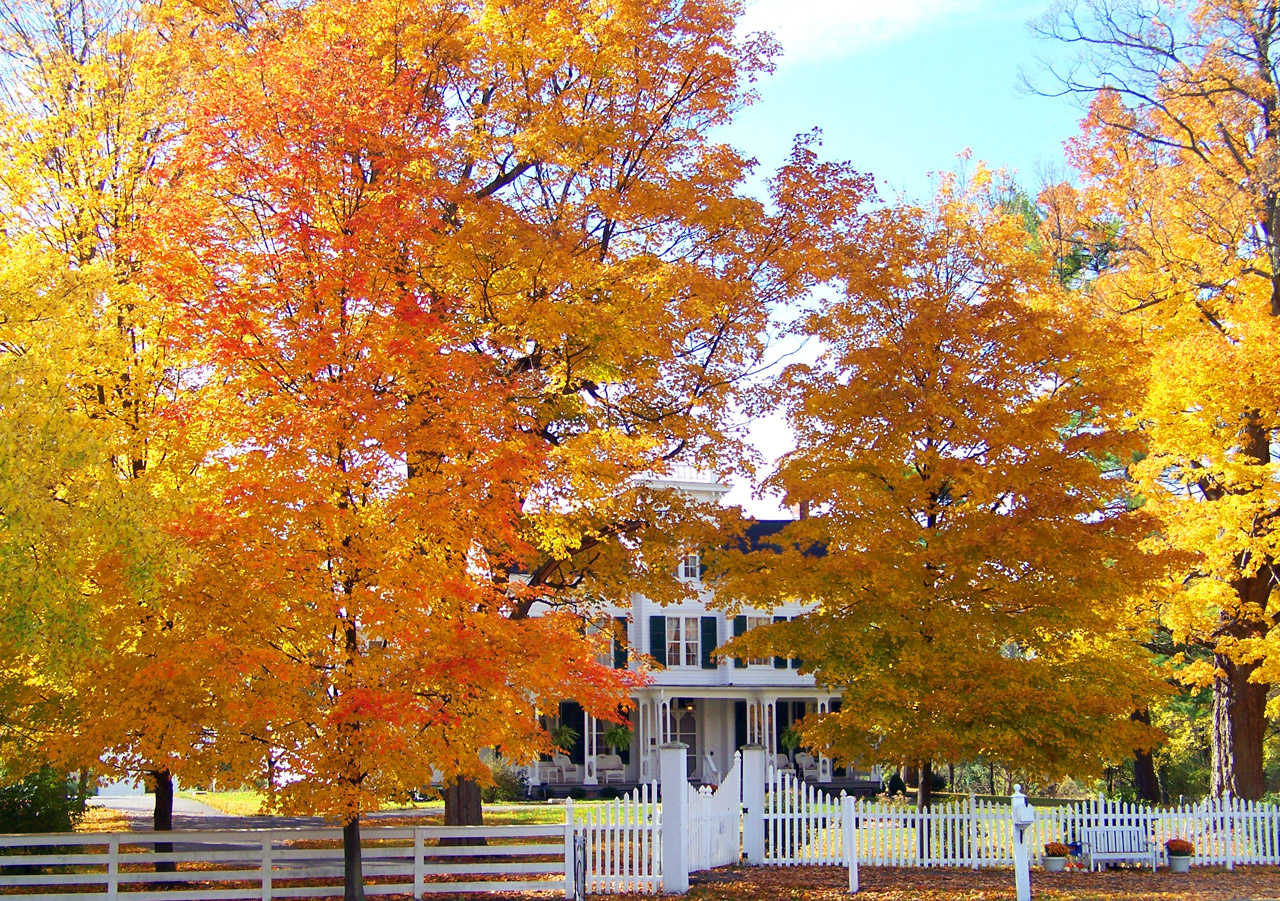 Fall Home Selling Tips, Julie & Co. Realty
