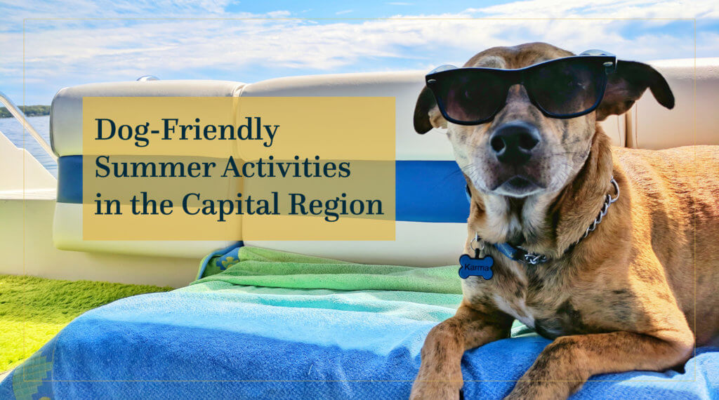 Dog-Friendly Summer Activities in the Capital Region