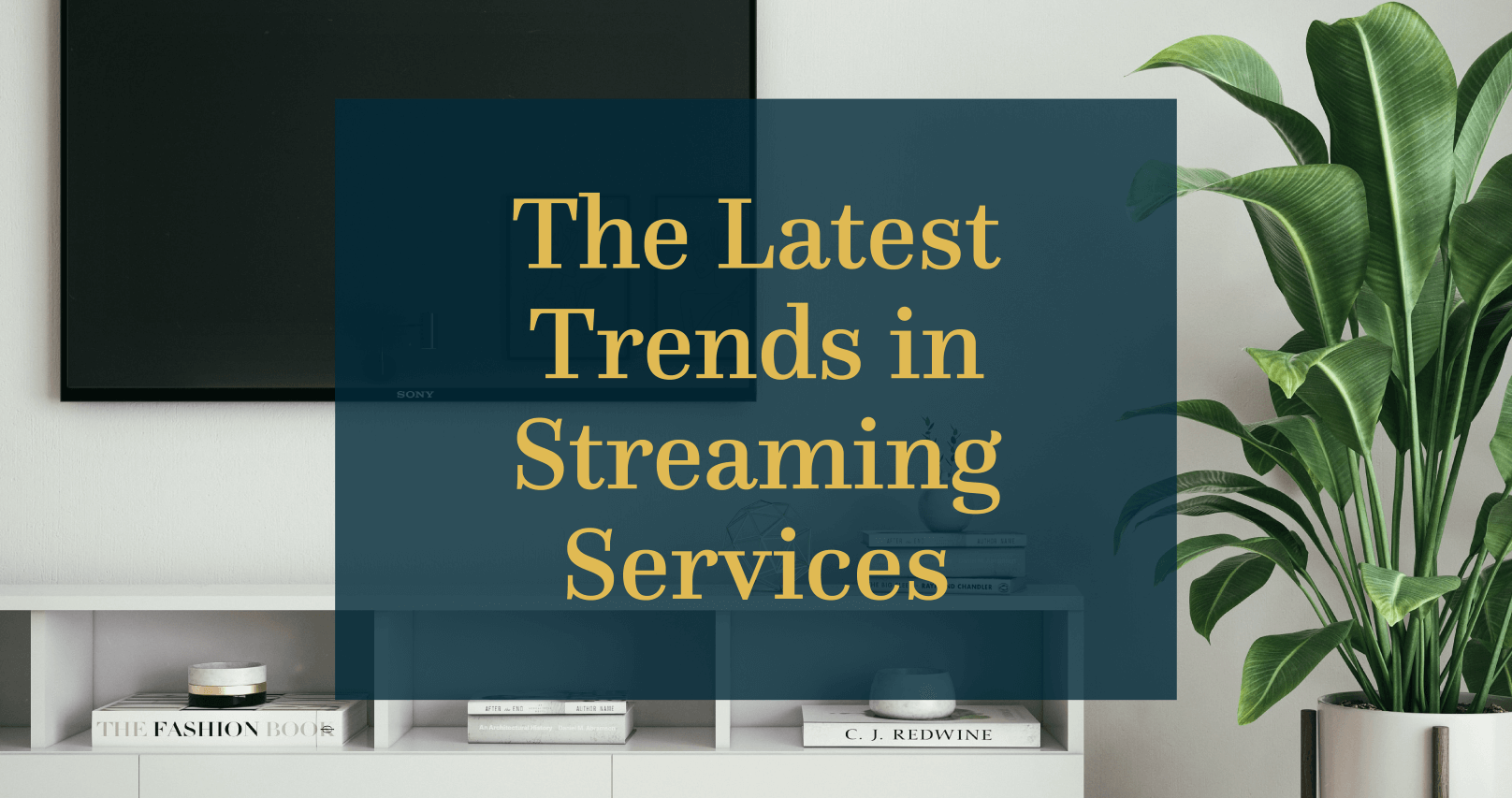 The Latest Trends in Streaming Services, Julie & Co. Realty