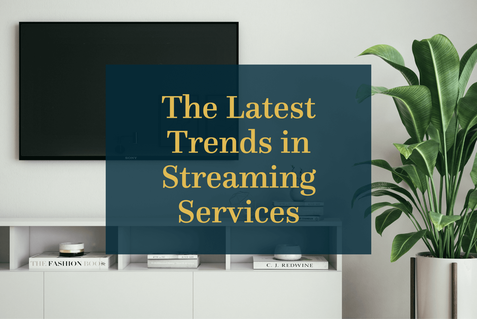 The Latest Trends in Streaming Services, Julie & Co. Realty