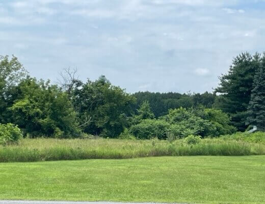 2561 State Route 40