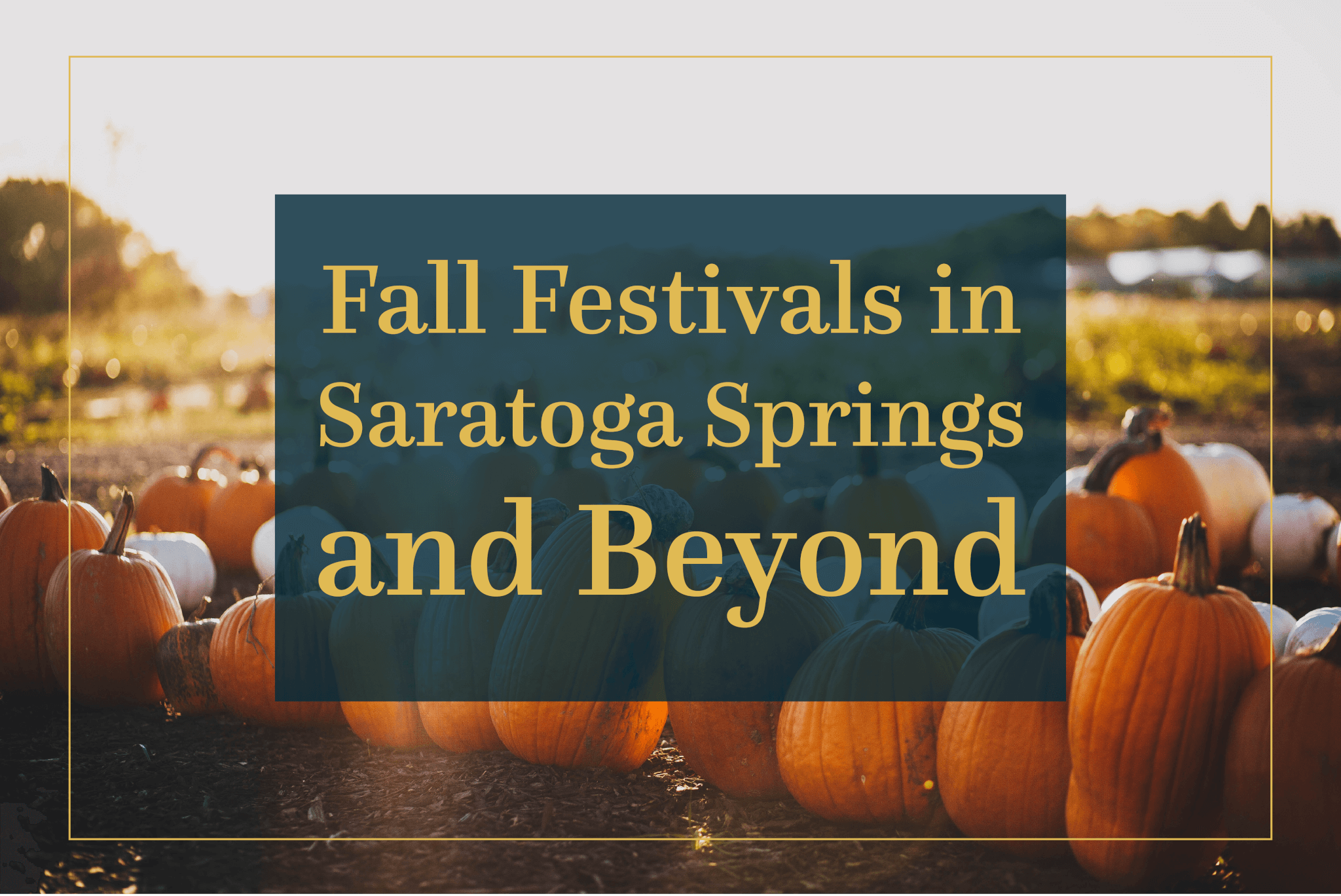 Fall Festivals 2025 Shina Ronnie
