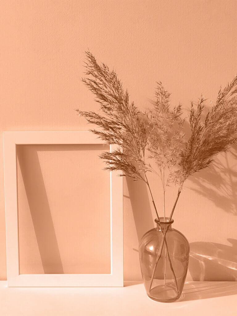Peach wall with dried grass in a vase