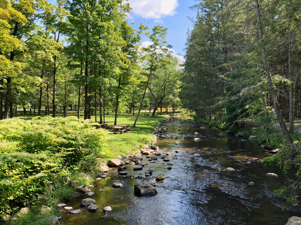 Stream cutting through a wooded area of Saratoga Spa State park