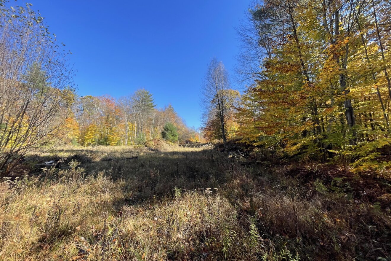 L15 East River Road