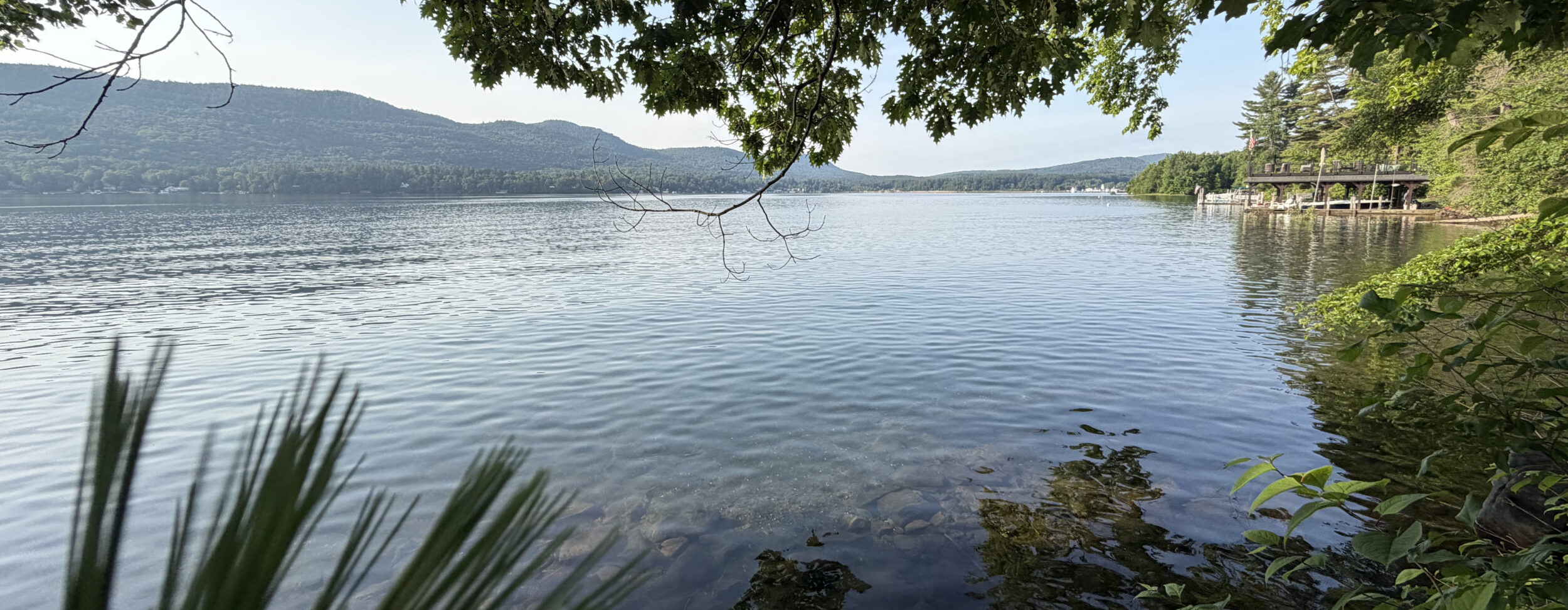 2978 Lakeshore