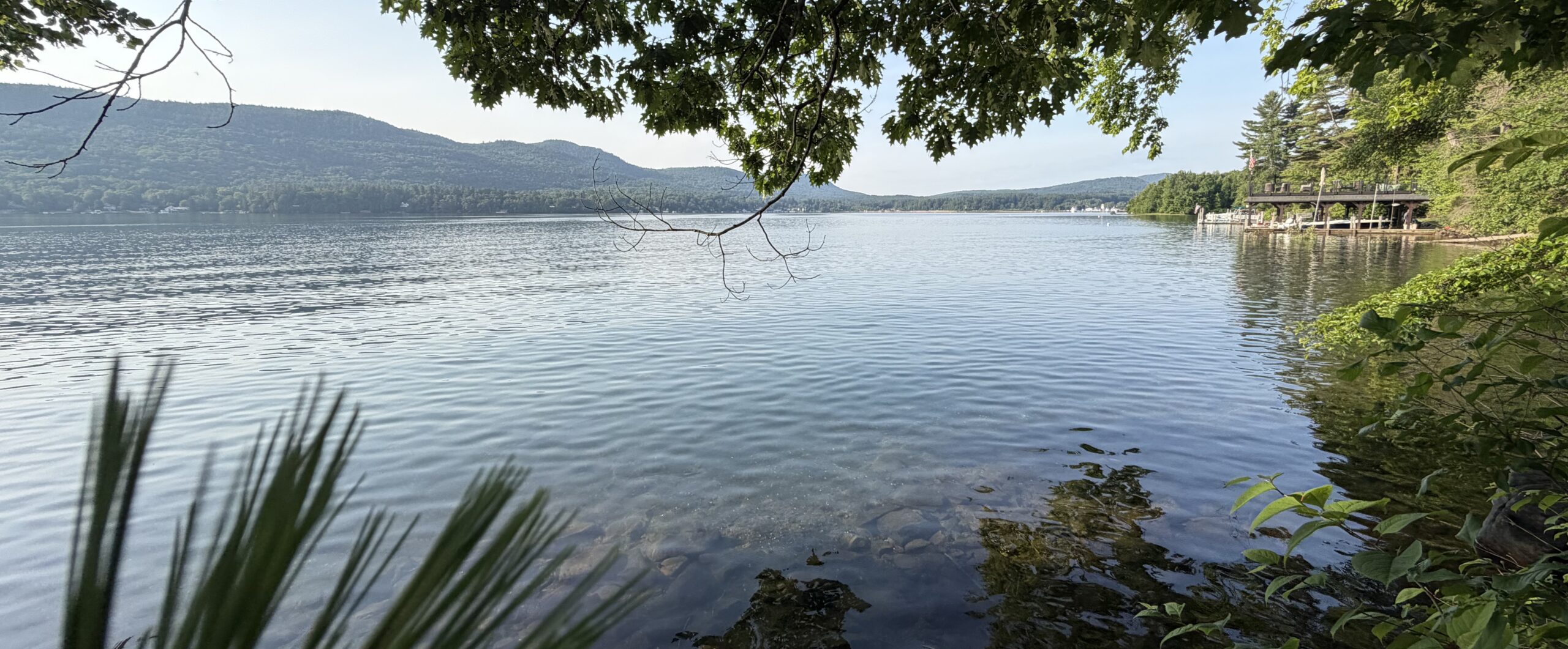 2978 Lakeshore Cropped for web